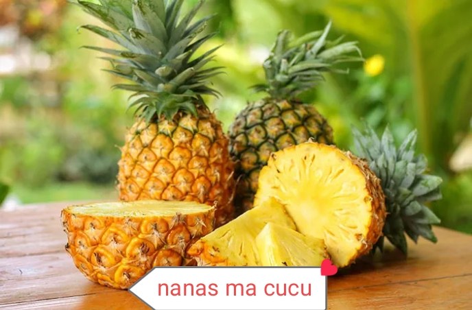 Nanas madu ma cucu